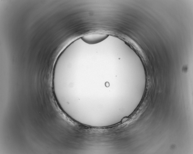 X0000099320860200805231423