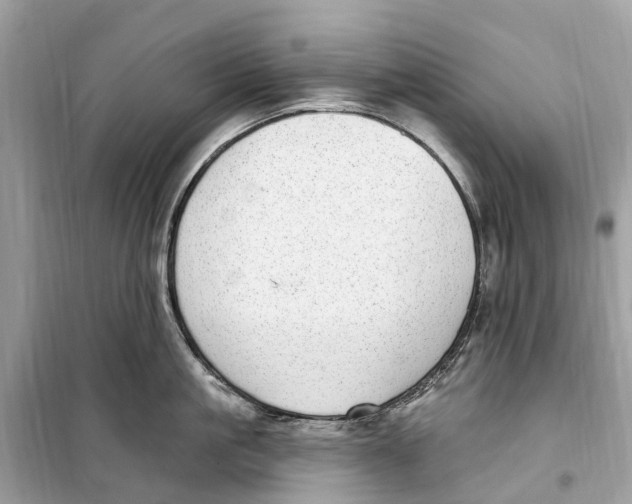 X0000099320861200805231423