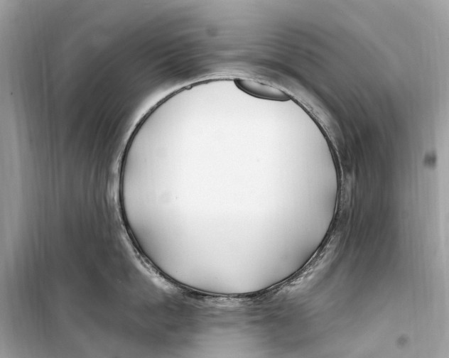 X0000099320862200805231423