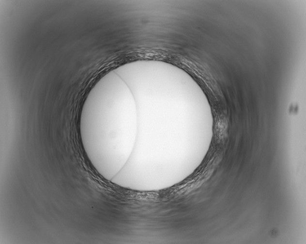 X0000099320865200805231423