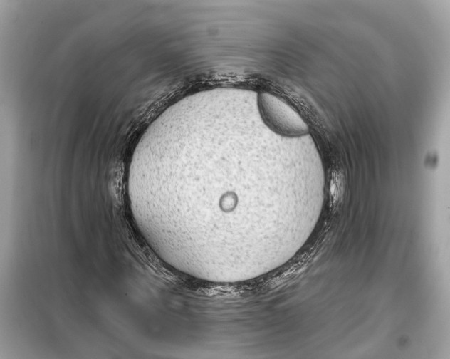 X0000099320867200805231423