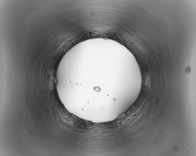 X0000099320868200805231423