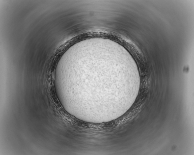 X0000099320870200805231422