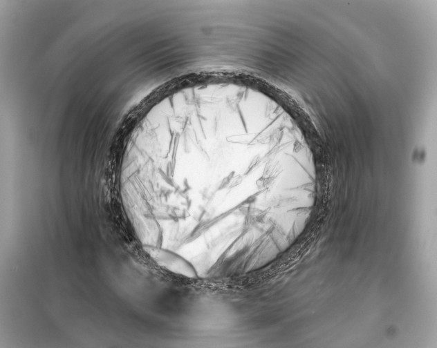 X0000099320871200805231422