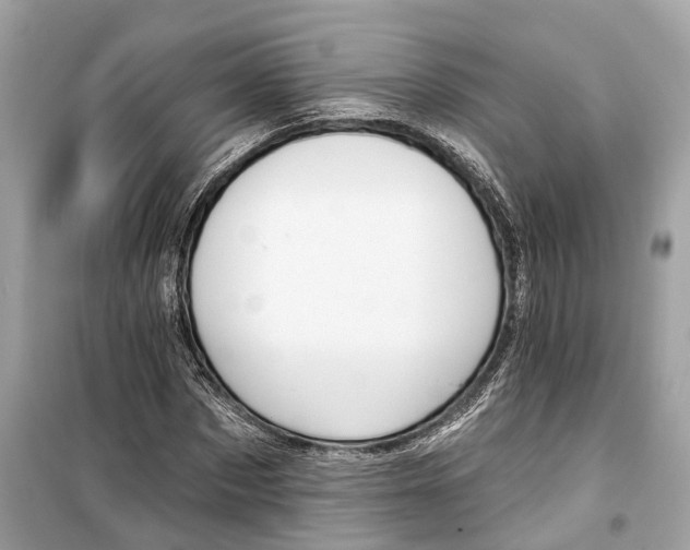 X0000099320873200805231422