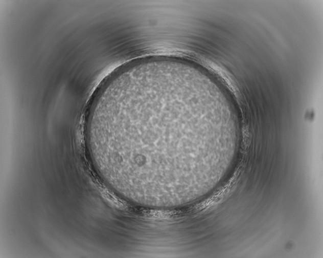 X0000099320875200805231422