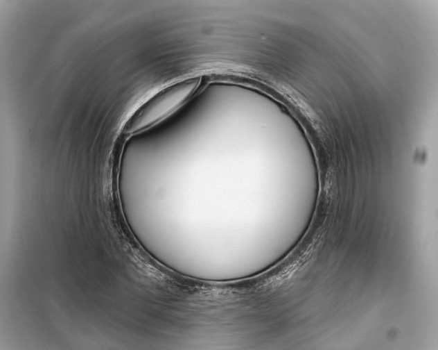 X0000099320877200805231422