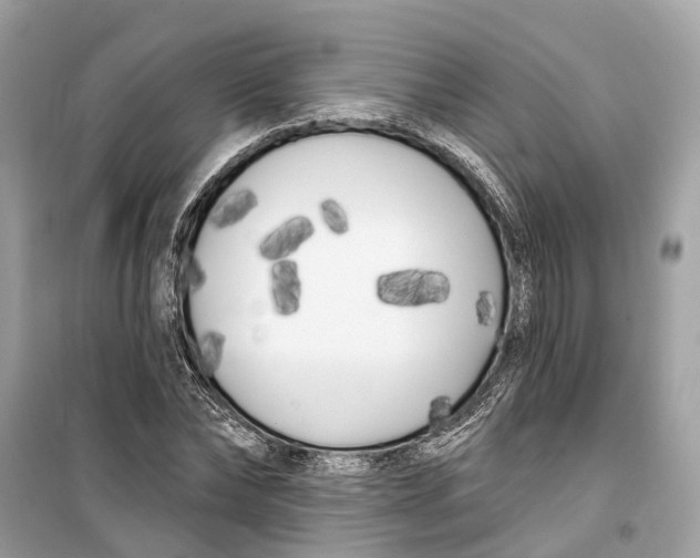 X0000099320878200805231422