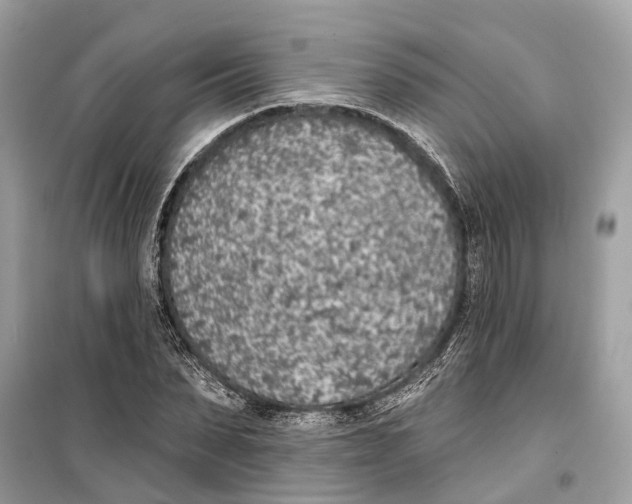 X0000099320879200805231422