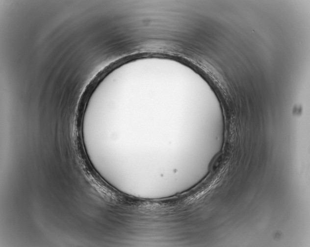 X0000099320880200805231422