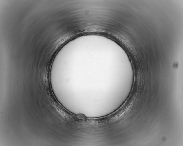 X0000099320881200805231422