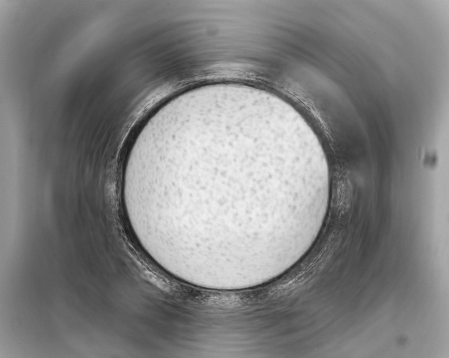 X0000099320882200805231422