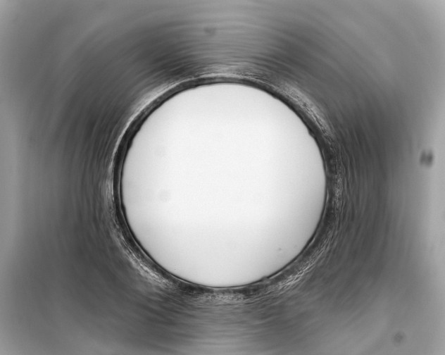 X0000099320884200805231422