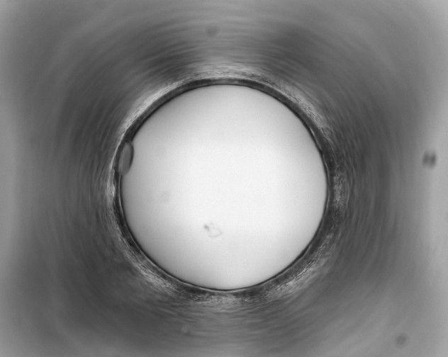 X0000099320885200805231422