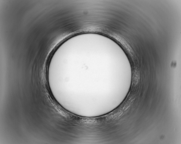 X0000099320886200805231422