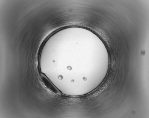 X0000099320888200805231422