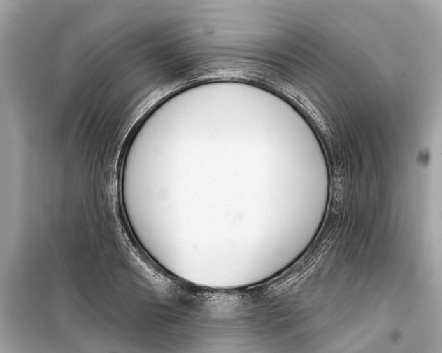 X0000099320890200805231422