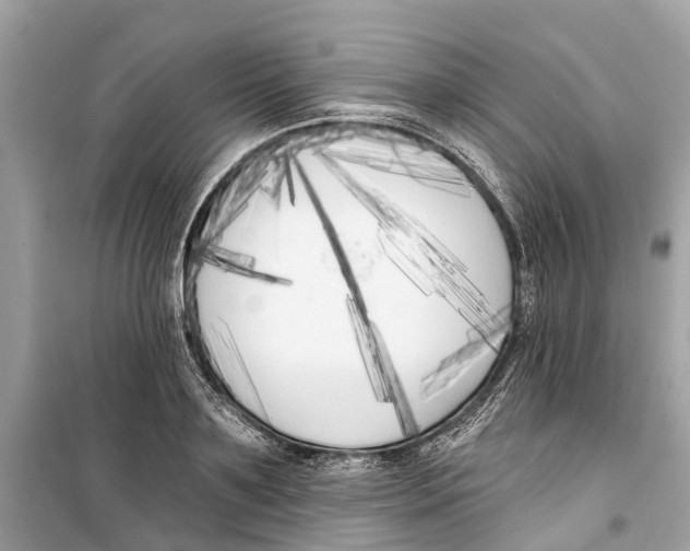 X0000099320891200805231422