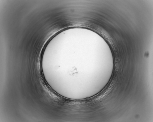 X0000099320892200805231422