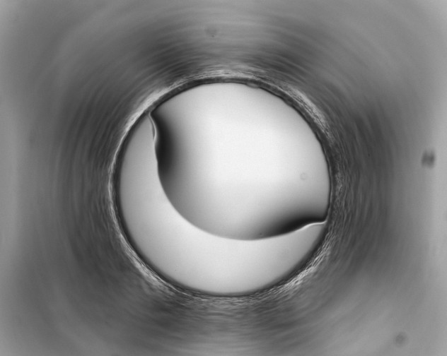 X0000099320893200805231422