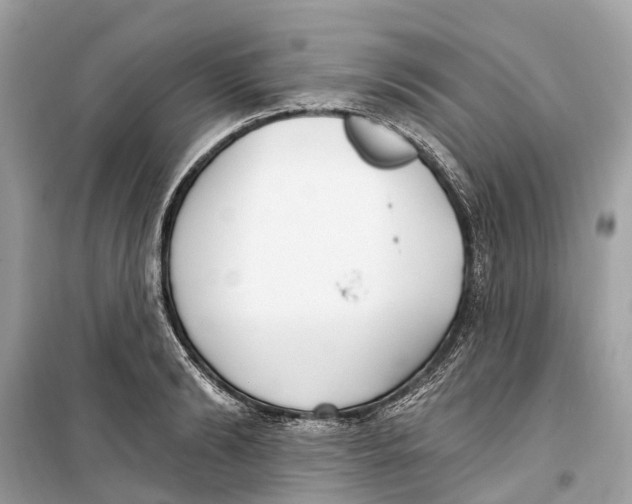 X0000099320894200805231422