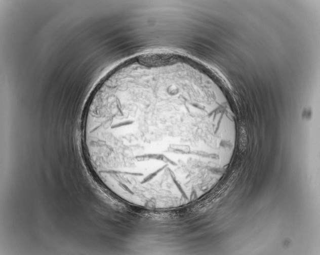 X0000099320895200805231422