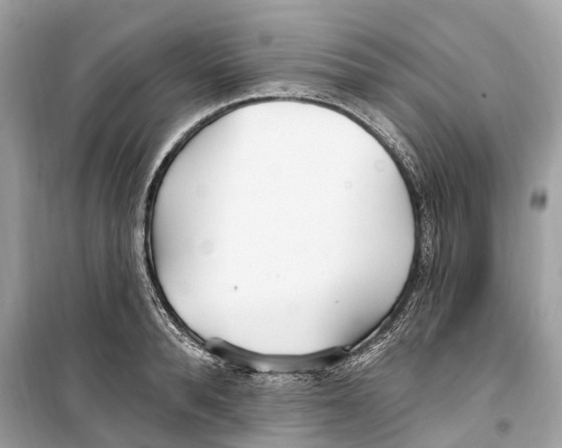 X0000099320896200805231422