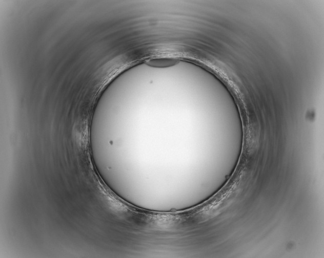 X0000099320897200805231422