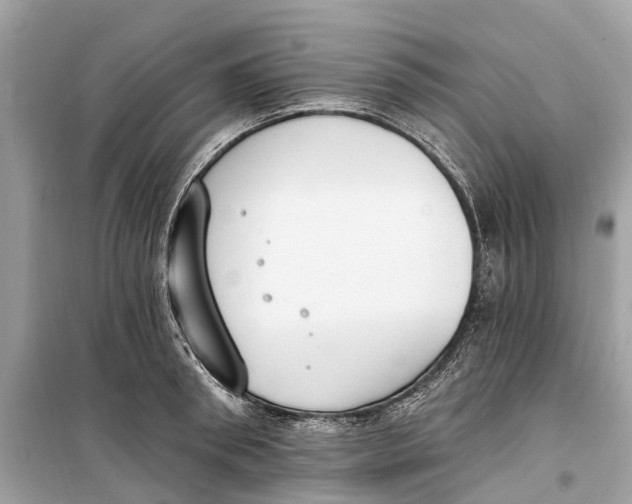 X0000099320898200805231422