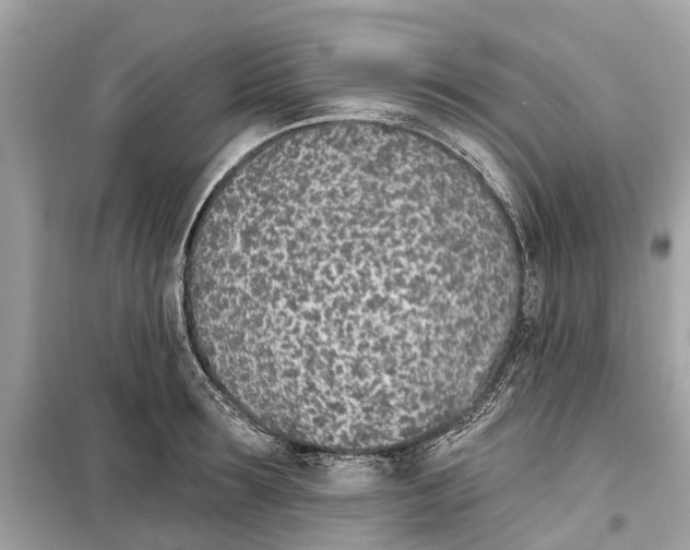 X0000099320899200805231422