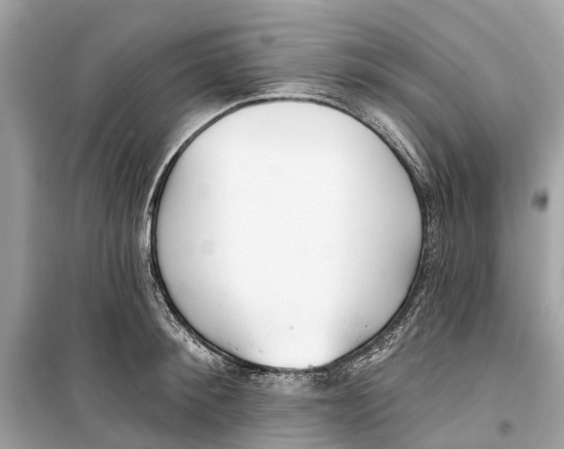 X0000099320900200805231422