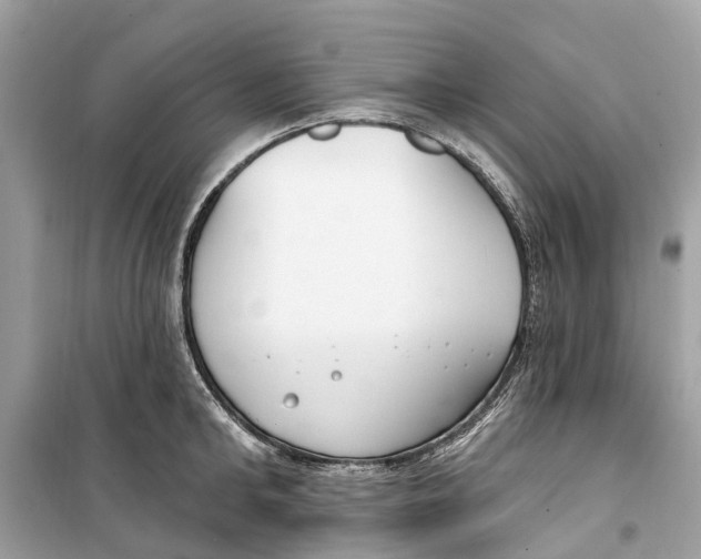 X0000099320902200805231422