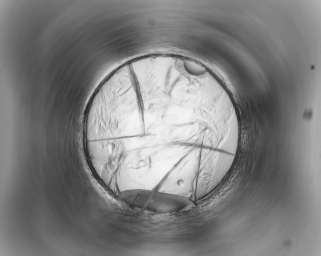 X0000099320903200805231422