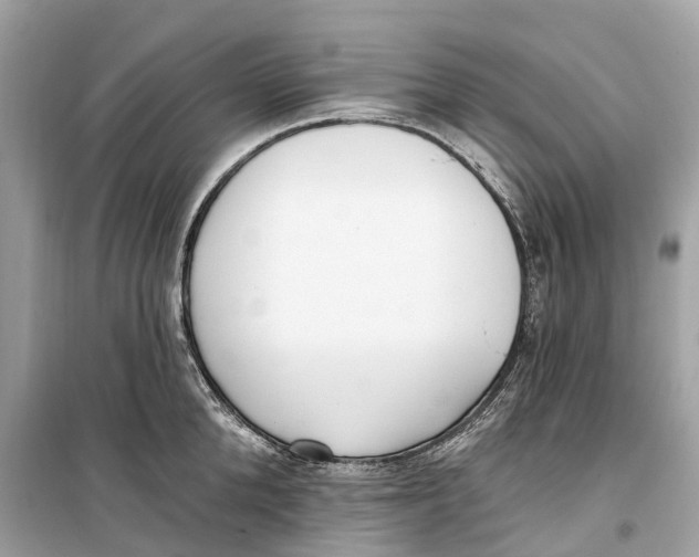 X0000099320904200805231422