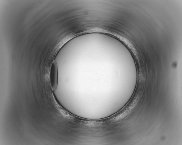 X0000099320905200805231422