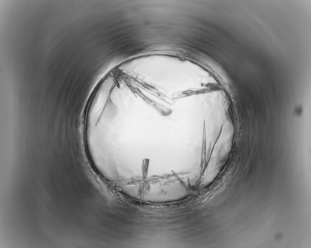 X0000099320907200805231422