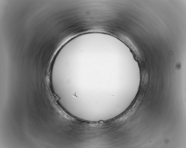 X0000099320908200805231422