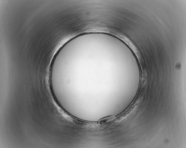 X0000099320909200805231422