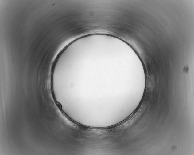 X0000099320910200805231422