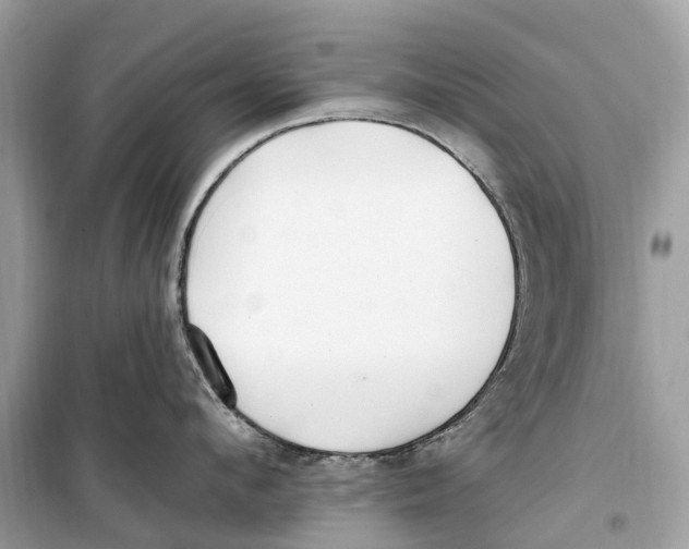 X0000099320912200805231422