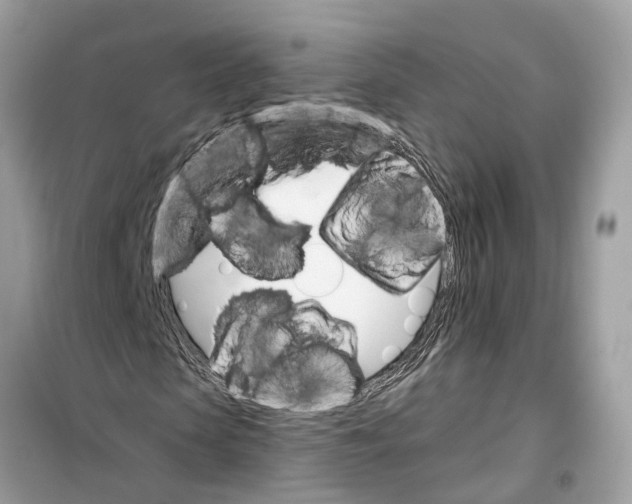 X0000099320913200805231421