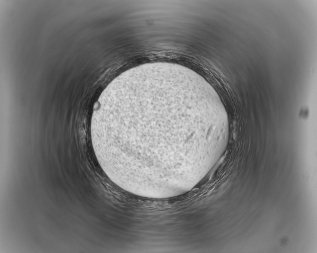 X0000099320915200805231421