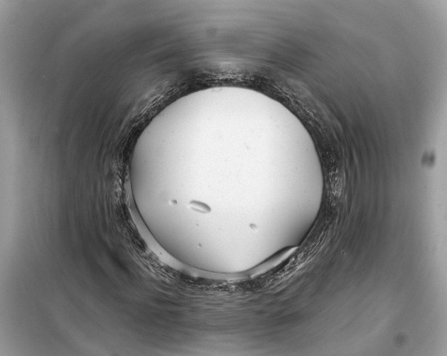 X0000099320916200805231421