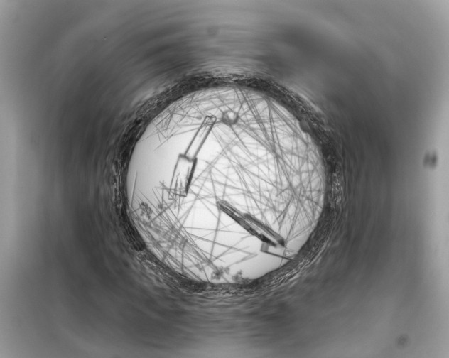 X0000099320917200805231421