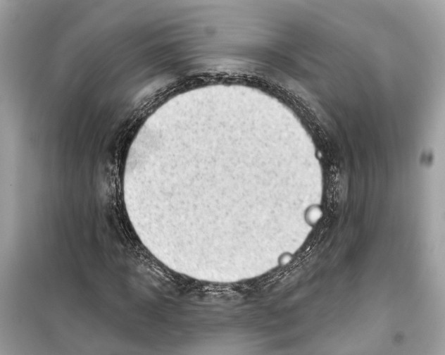 X0000099320918200805231421