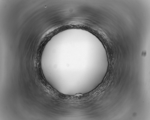 X0000099320920200805231421