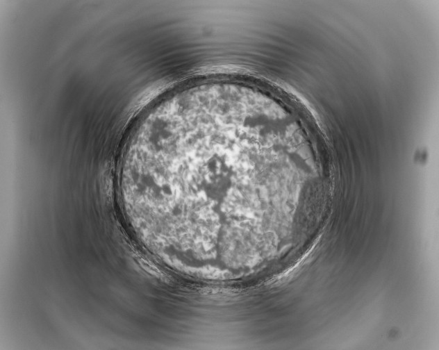 X0000099320921200805231421