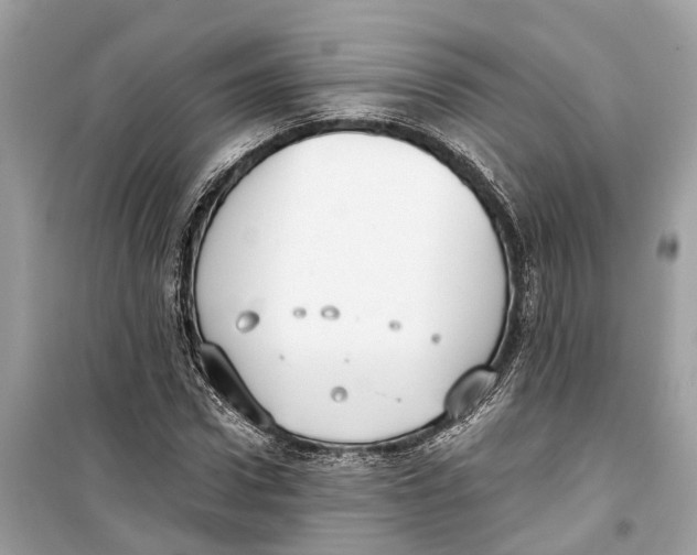 X0000099320922200805231421