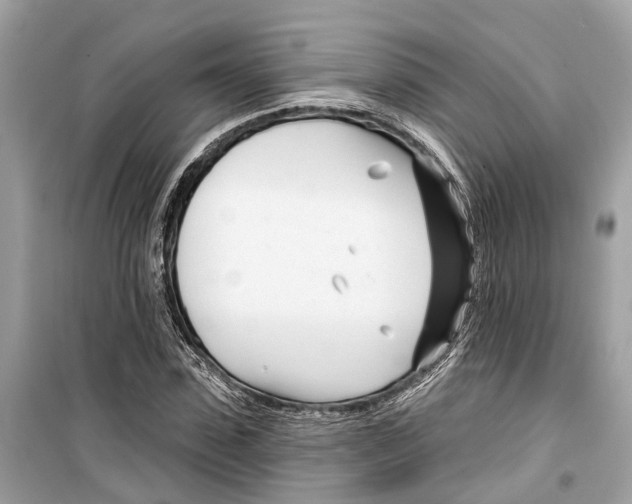 X0000099320923200805231421