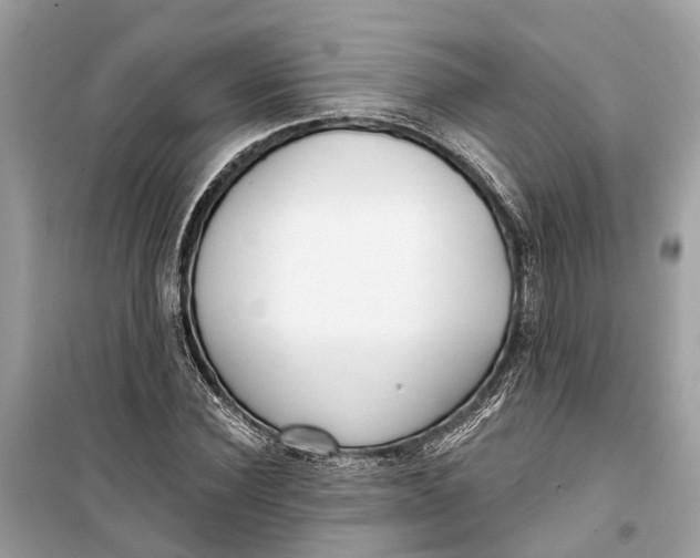 X0000099320924200805231421